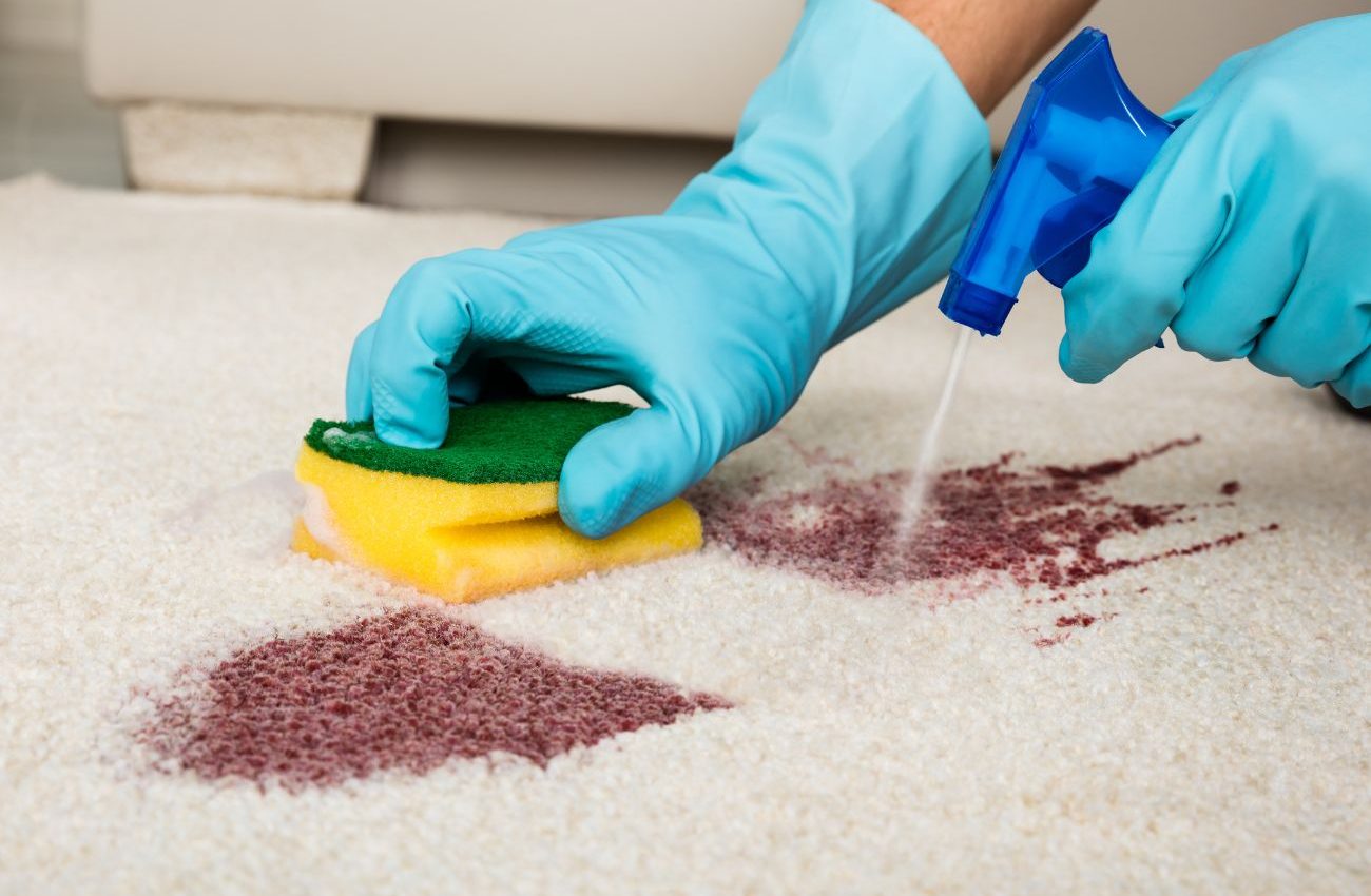 A person in blue gloves uses a sponge to clean a carpet, highlighting a carpet restoration service in Jacksonville, FL.